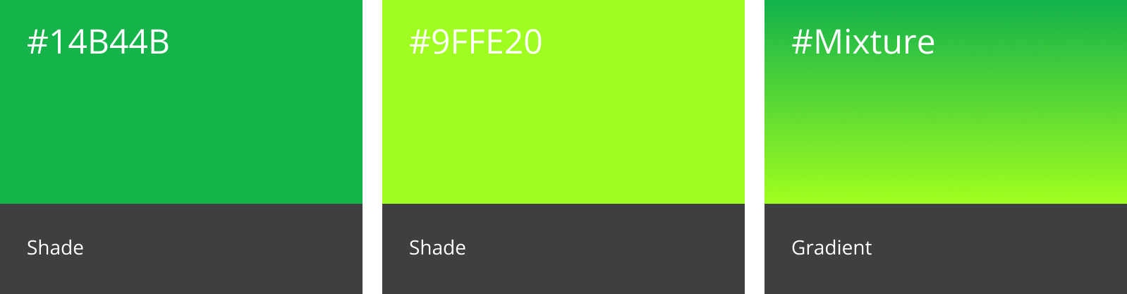 Color Schemes