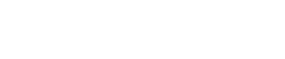 Zelle visuals